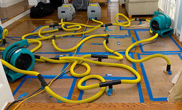 Professional Sewage Cleanup technician working in Danville, IA